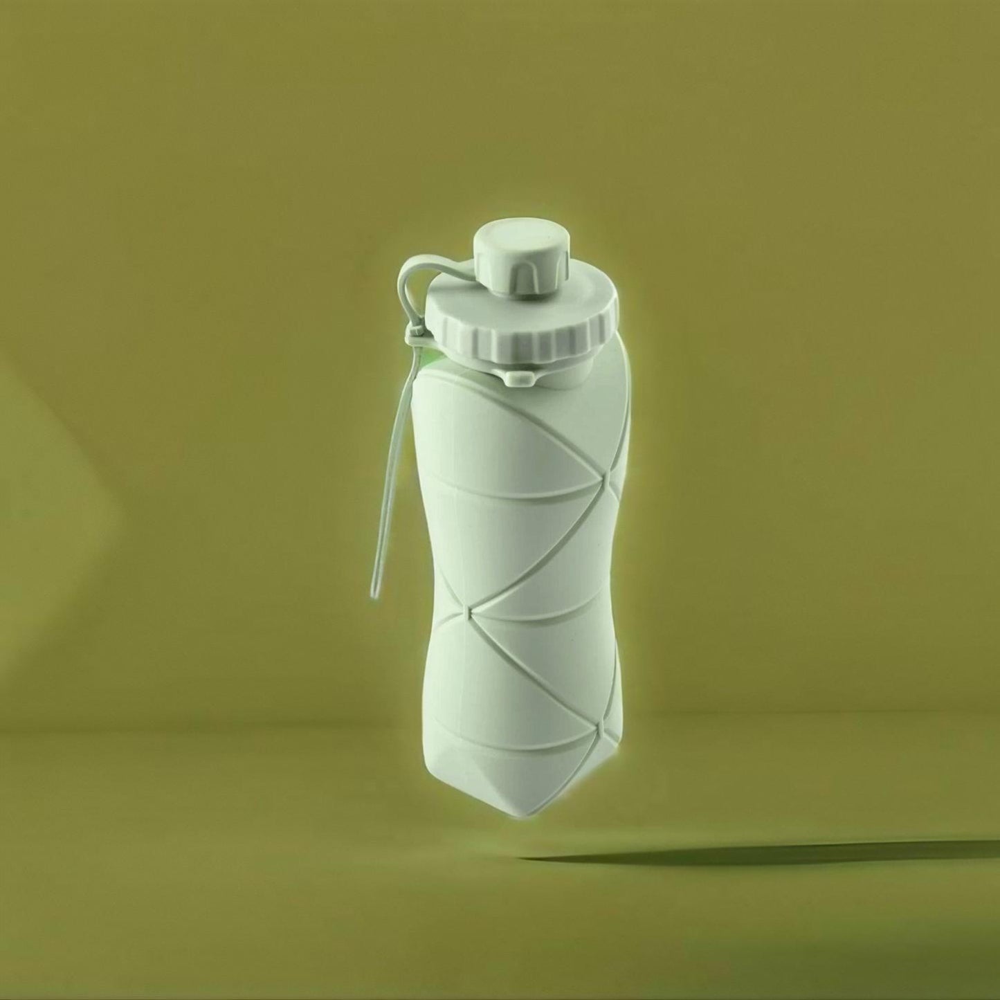 H₂GO Hydro Flask - Collapsible